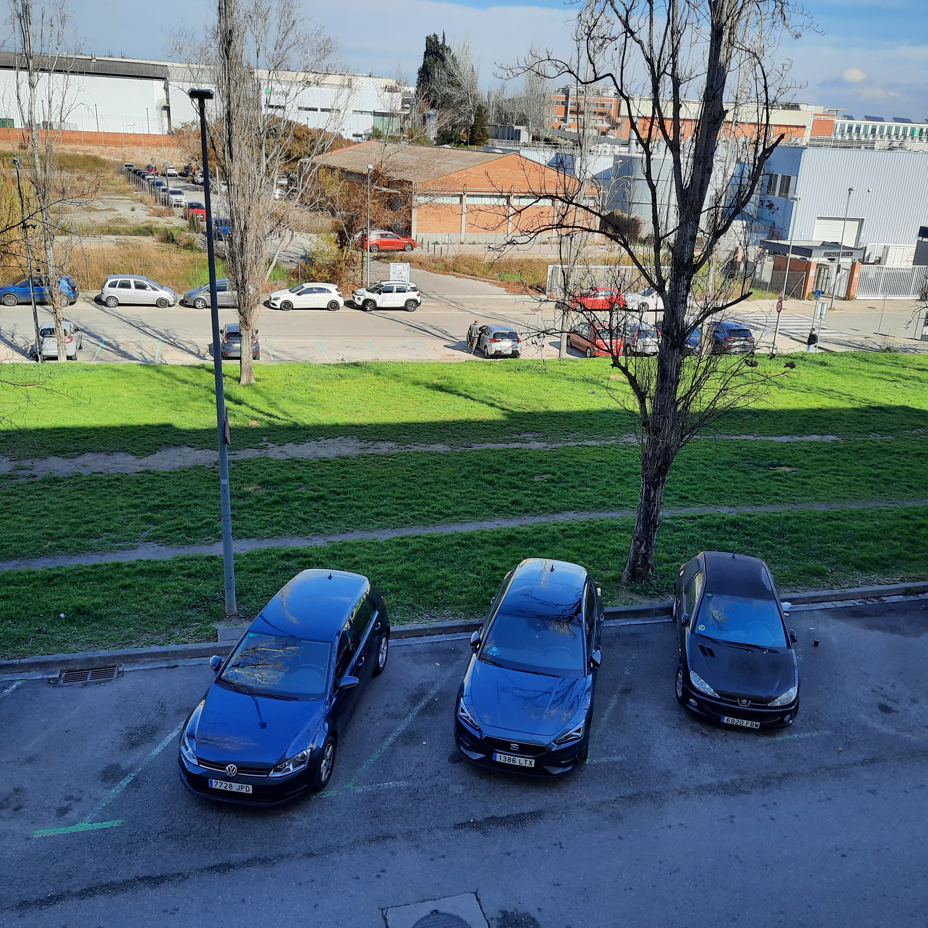 Imatge pels mitjans: Arbrat Parc Ildefons Cerda