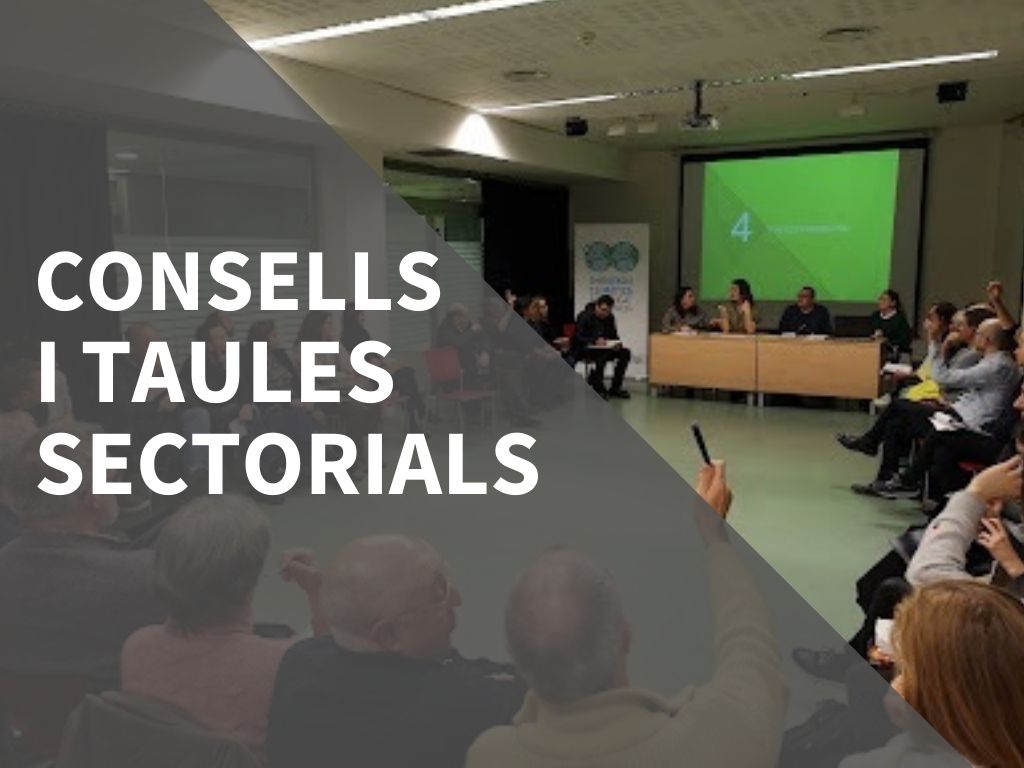 Imatge pels mitjans: Consells i taules sectorials