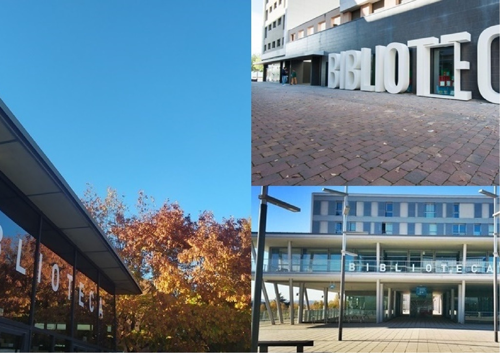 Imatge pels mitjans: Establiment del Servei públic municipal de biblioteques i del seu reglament