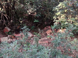 Neteja de deixalles dels boscos