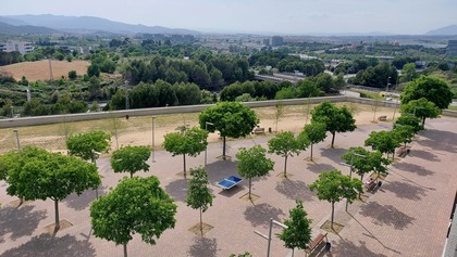 dolors bigas zona de terra.jpg