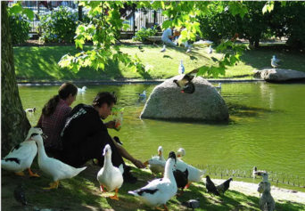 petit llac Volpelleres.png